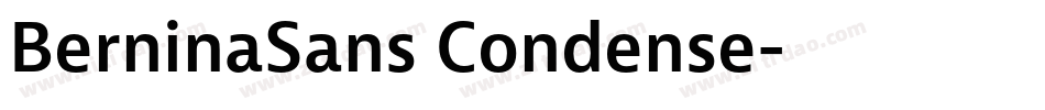 BerninaSans Condense字体转换